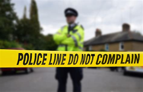 crimebodge