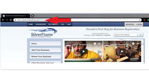 nvsilverflume