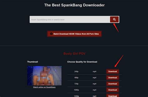 spankbangconverter